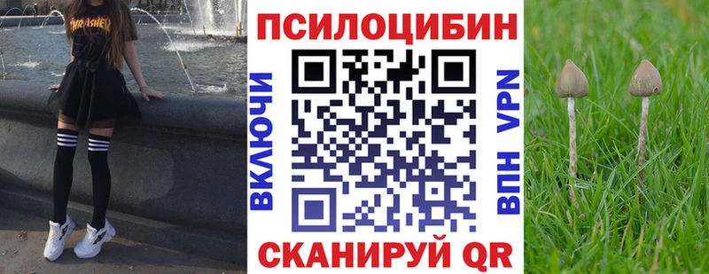 Псилоцибиновые грибы мицелий  Купить  Балтийск 